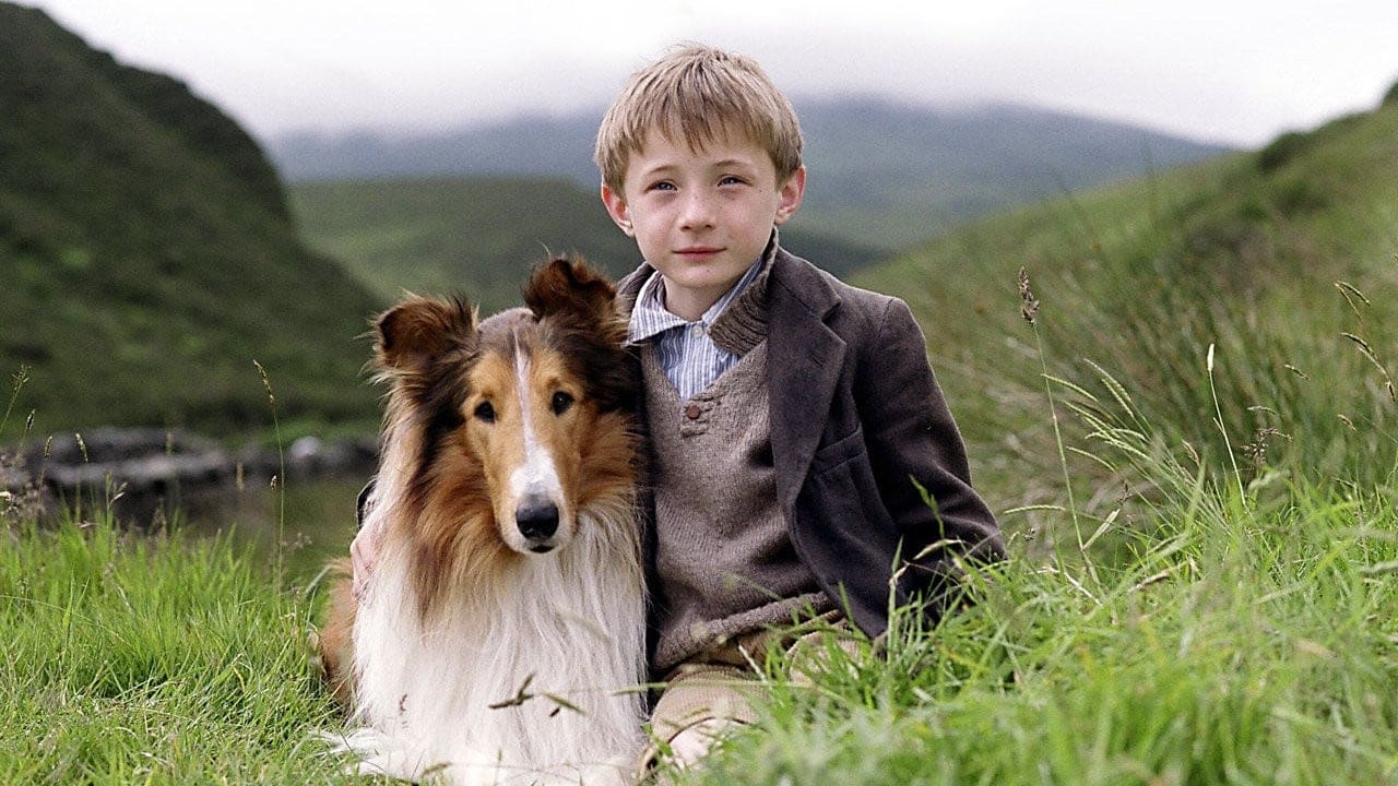 Tapeta filmu Lassie / Lassie (2005)