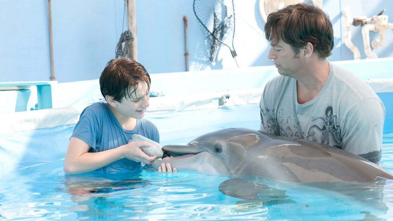 Tapeta filmu Můj přítel delfín / Dolphin Tale (2011)