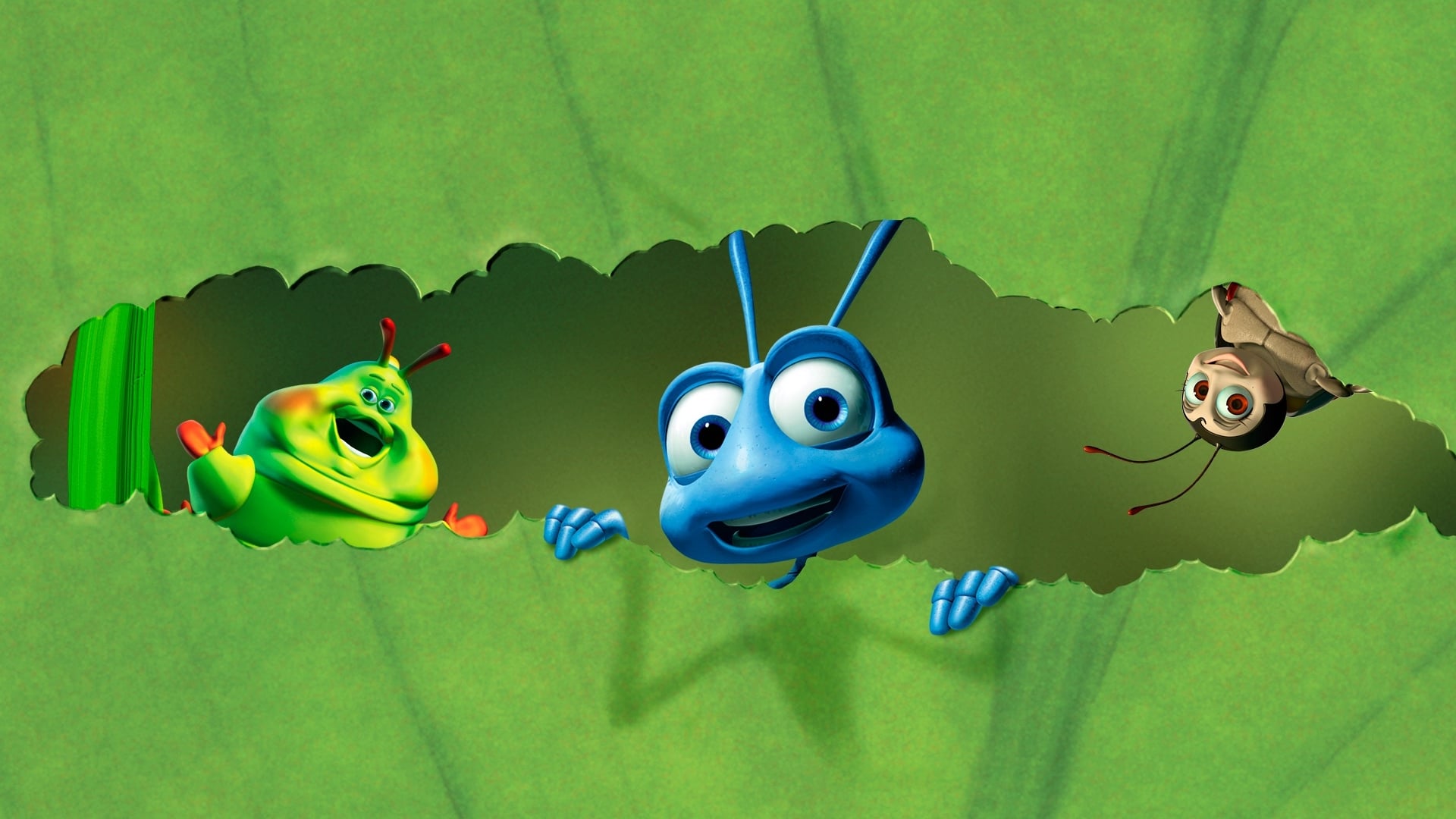 Tapeta filmu Život brouka / A Bug's Life (1998)