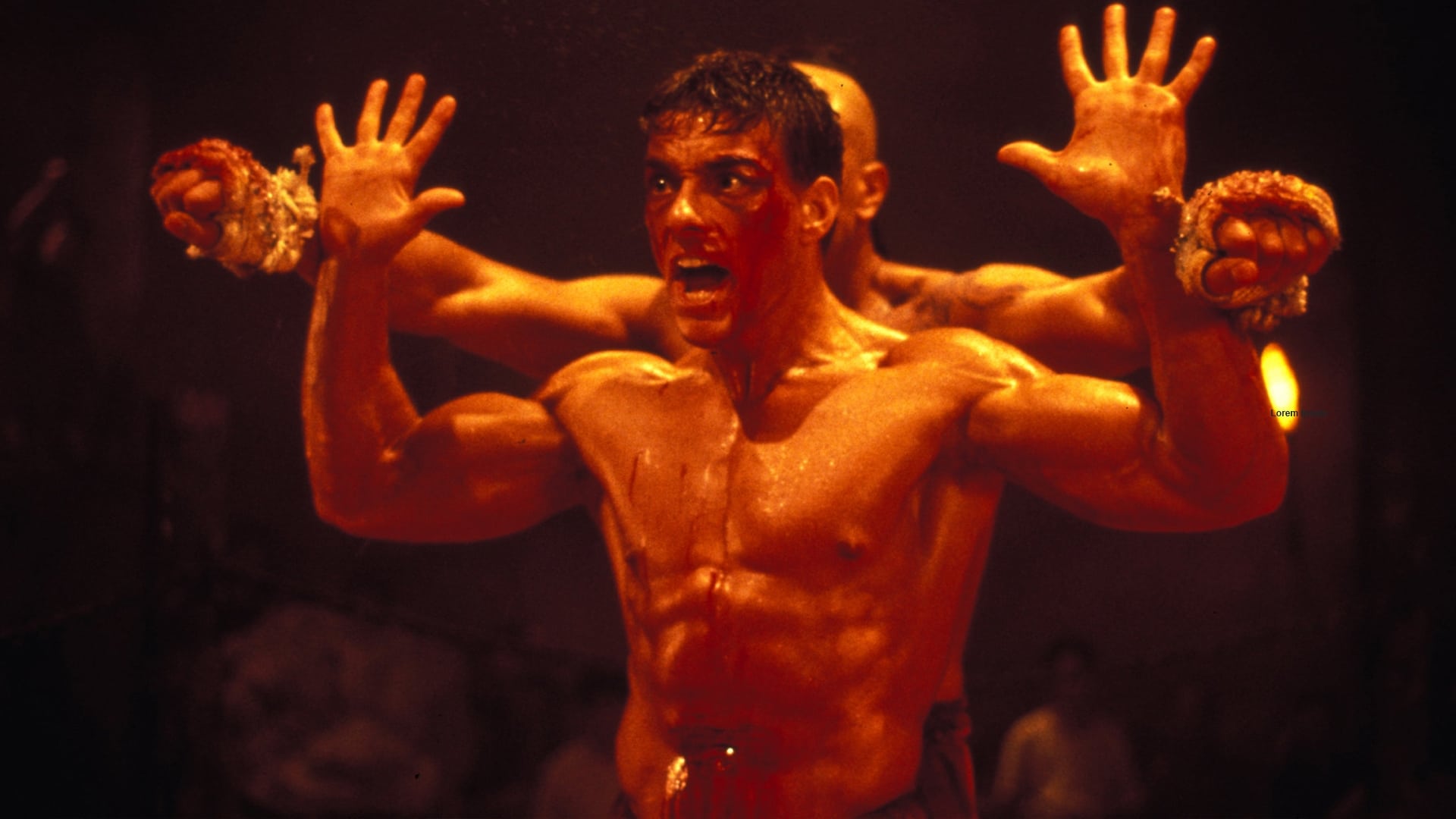Tapeta filmu Kickboxer / Kickboxer (1989)