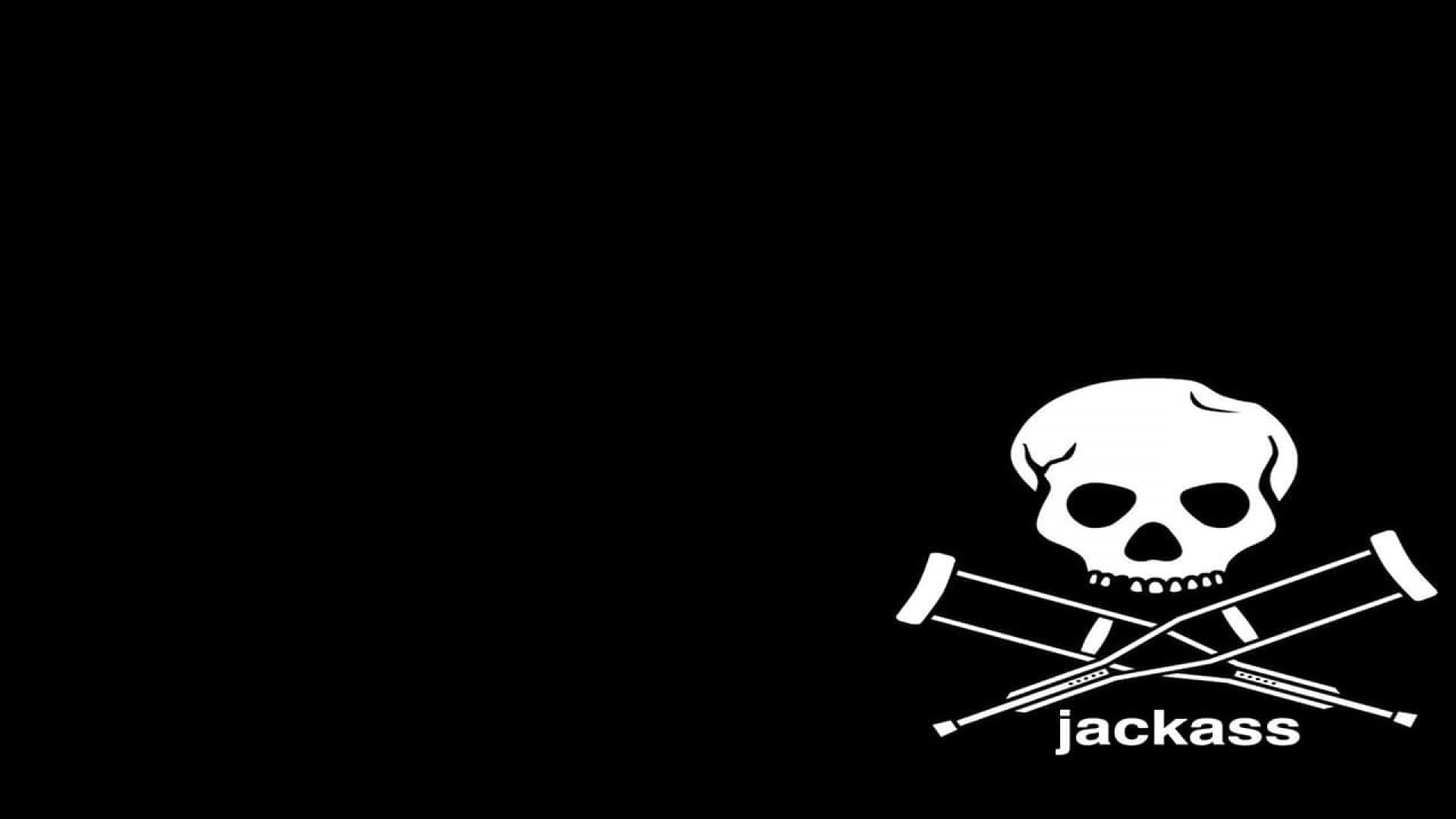 Tapeta filmu Jackass: Volume 1 /  ()