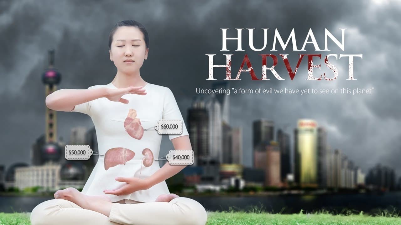 Tapeta filmu Člověk na prodej / Human Harvest (2014)