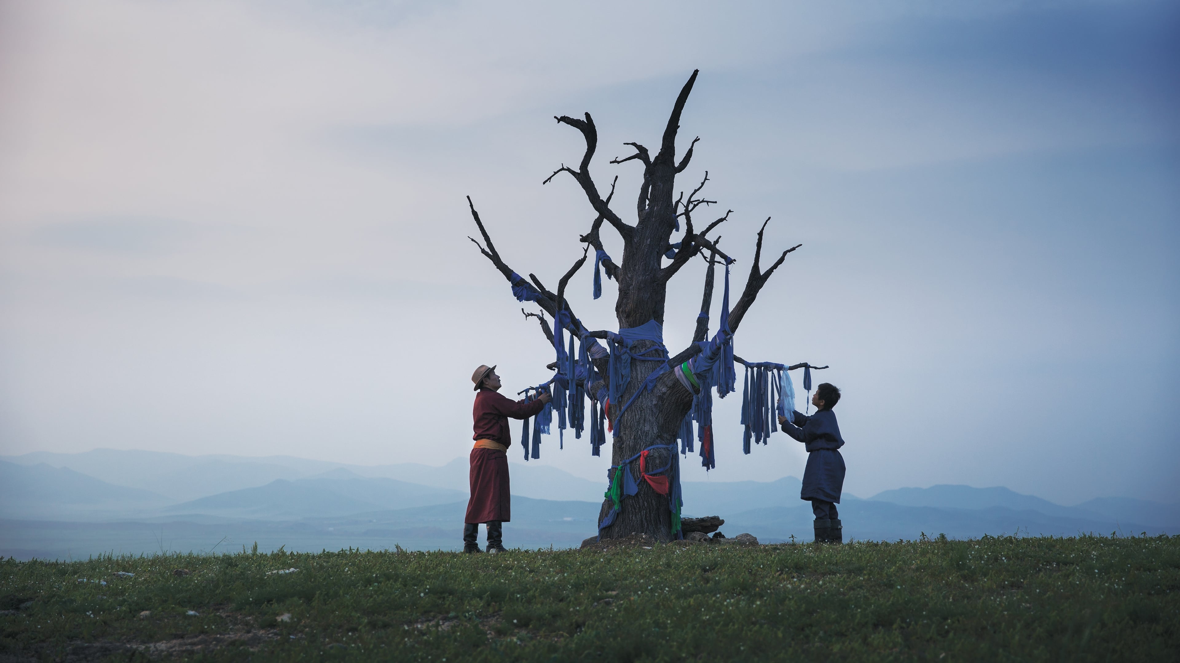 Tapeta filmu Žíly světa / Veins of the World (2020)