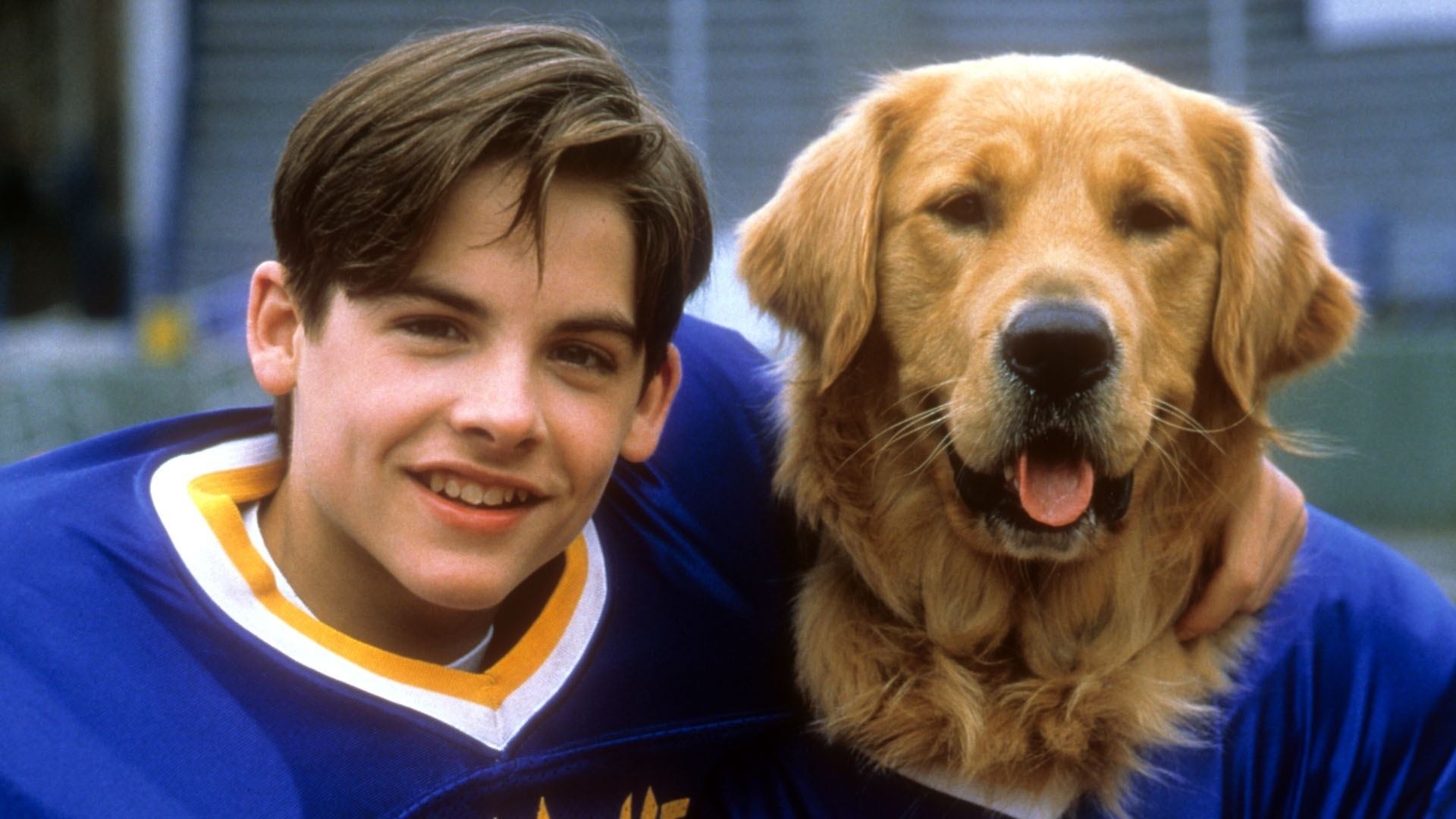 Tapeta filmu Můj pes Buddy 2 / Air Bud: Golden Receiver (1998)