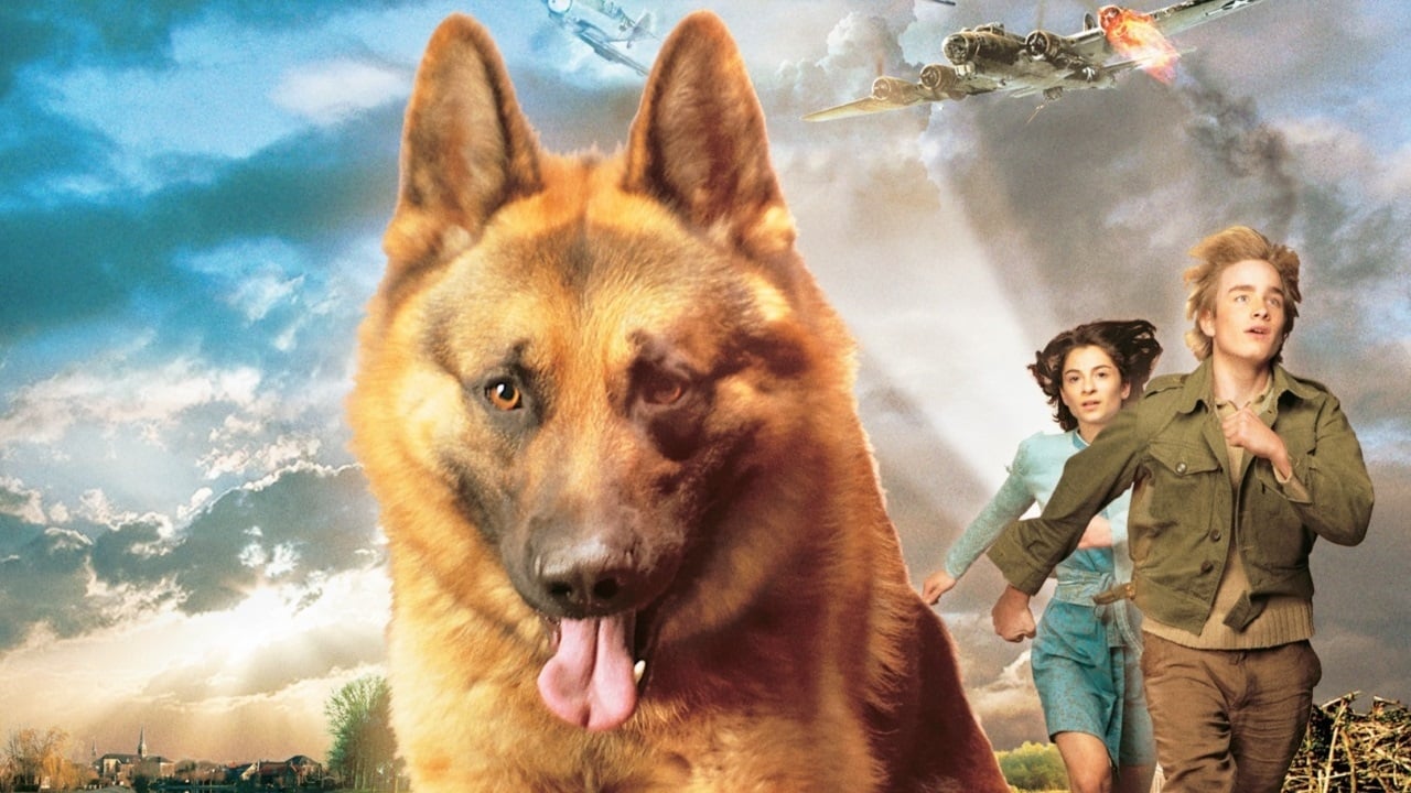 Tapeta filmu Sniff válečný hrdina / Snuf de hond in oorlogstijd (2008)