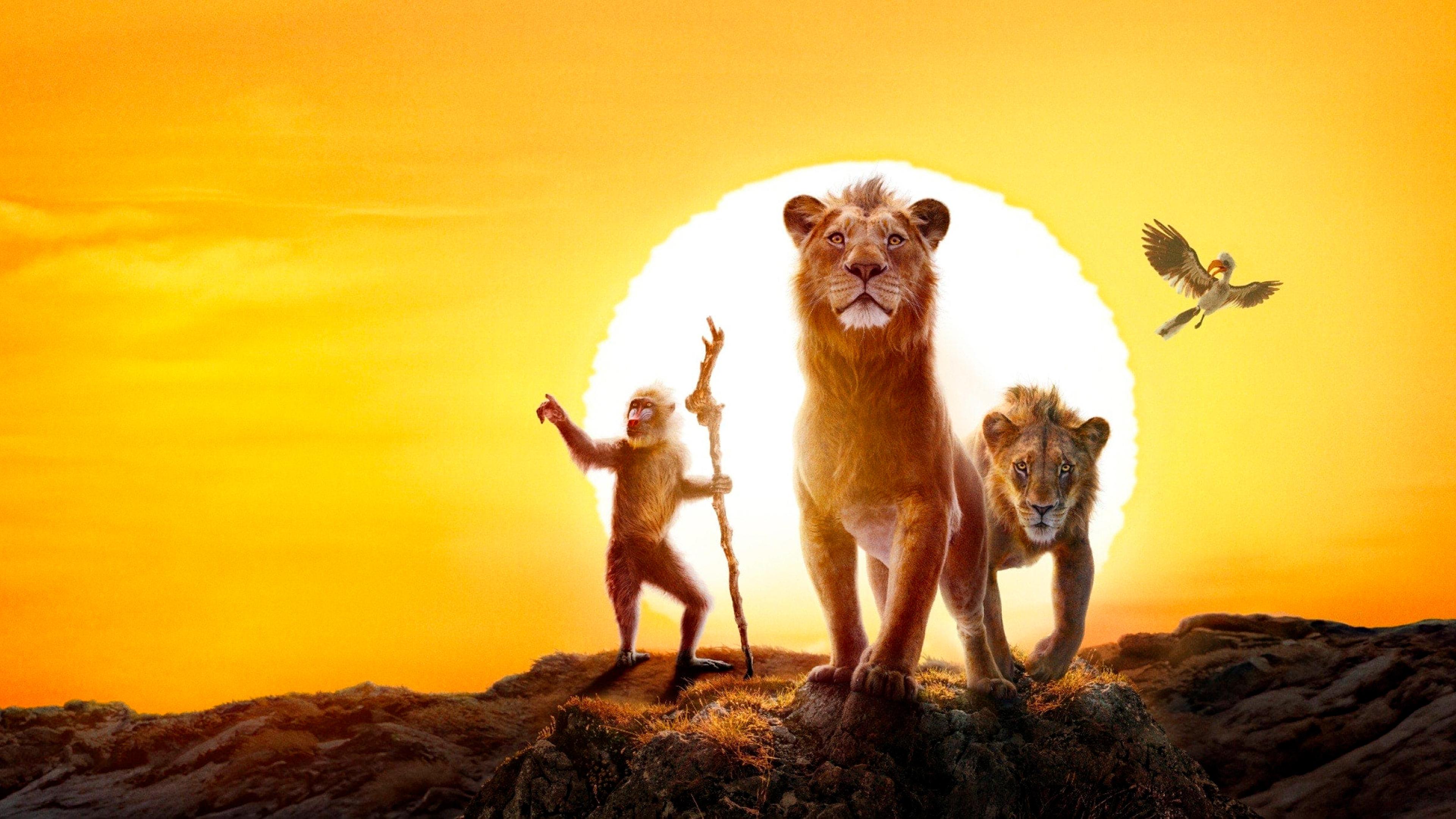 Tapeta filmu Mufasa: Lví král / Mufasa: The Lion King (2024)