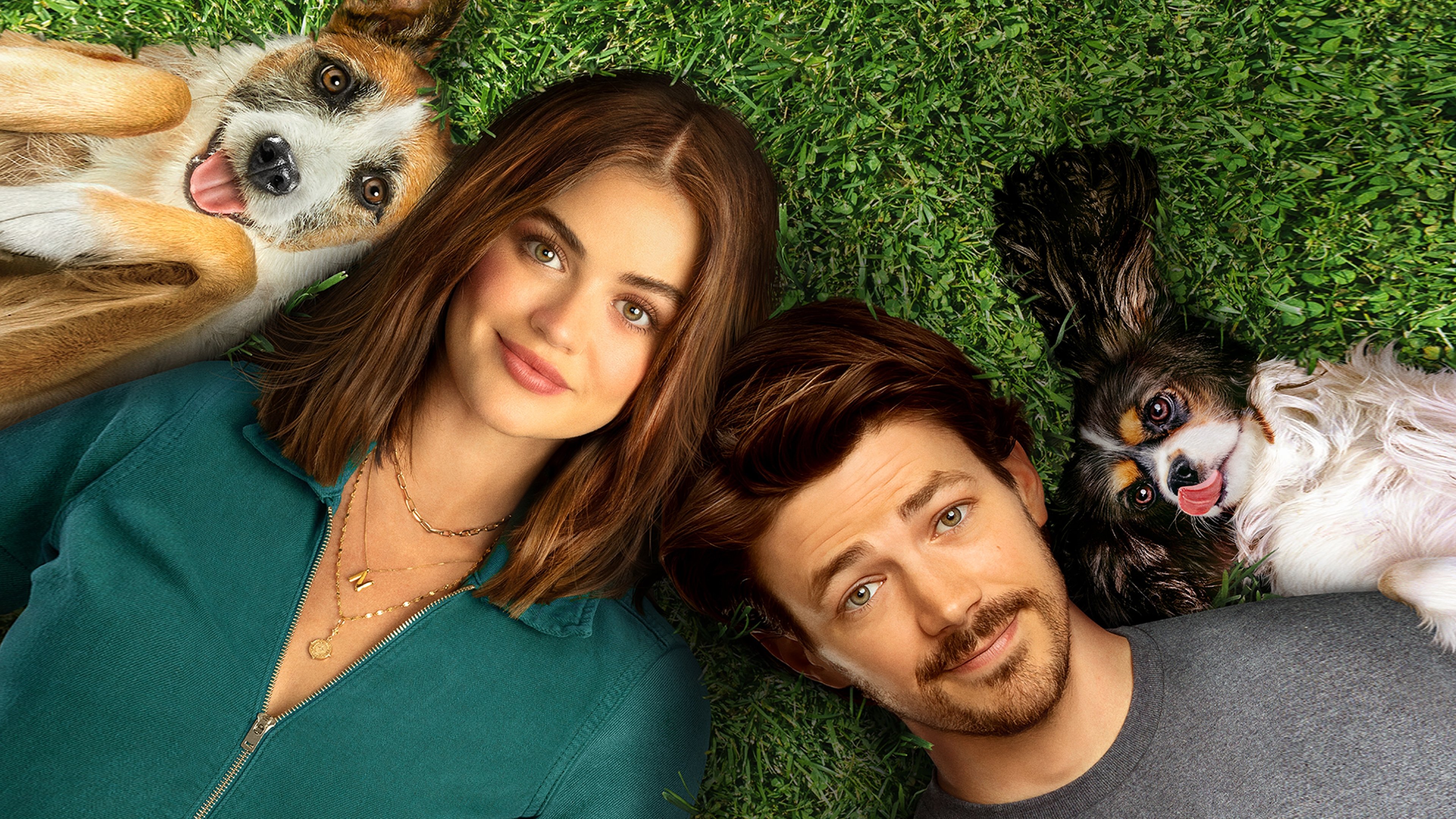 Tapeta filmu Puppy Love / Puppy Love (2023)