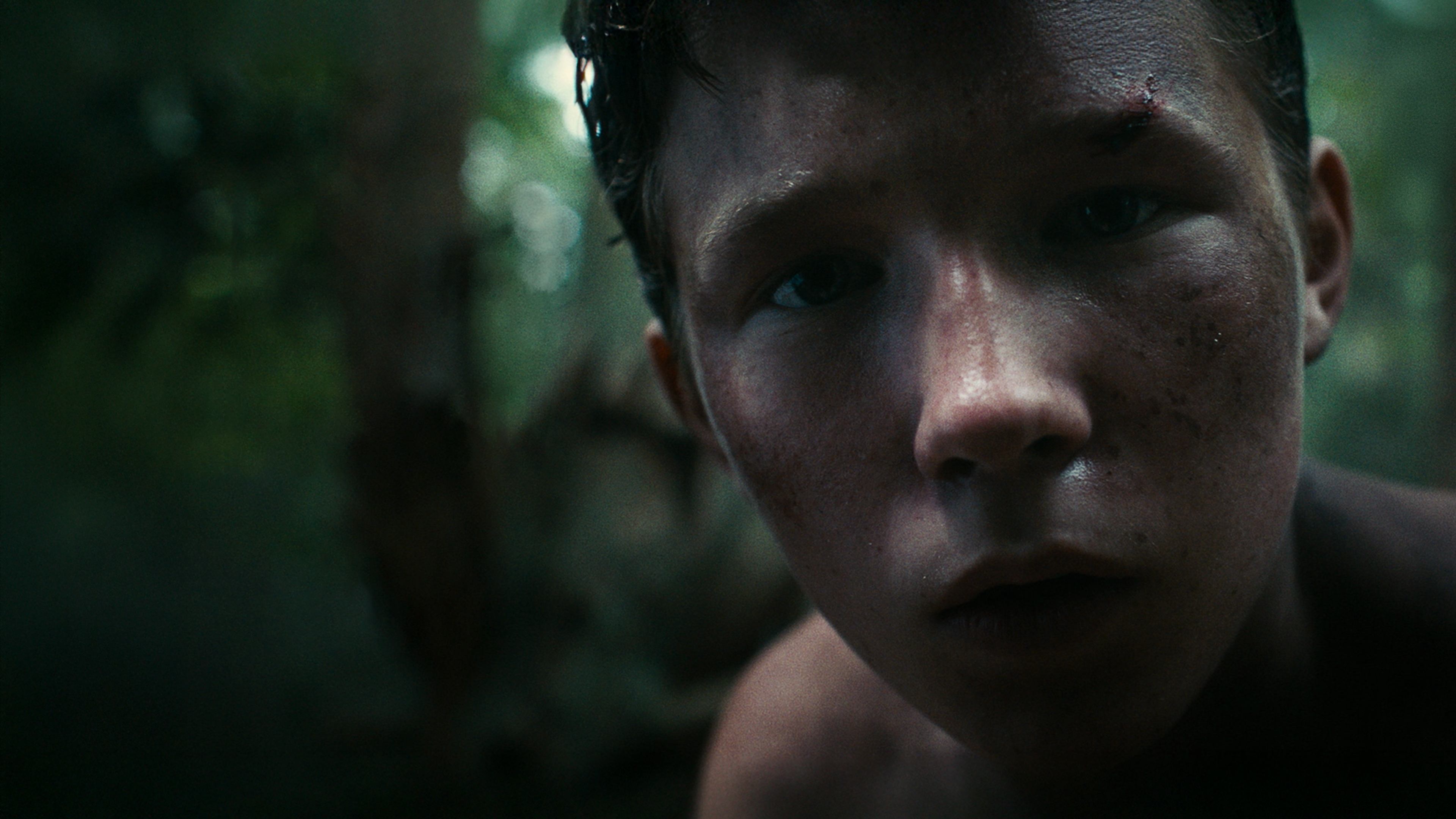 Tapeta filmu Ztracený v horách / Lost on a Mountain in Maine (2024)