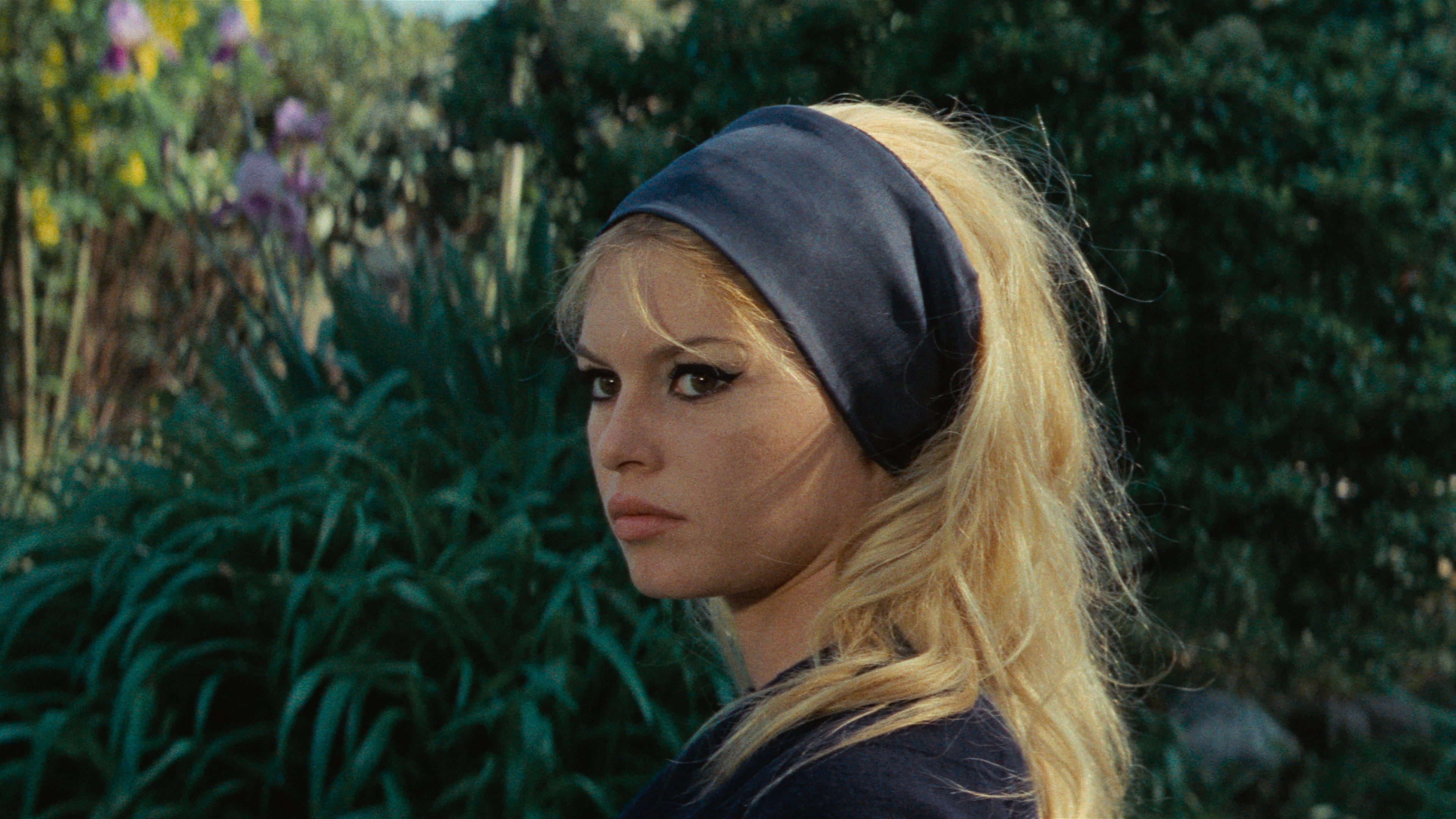 Tapeta filmu Pohrdání / Contempt (1963)