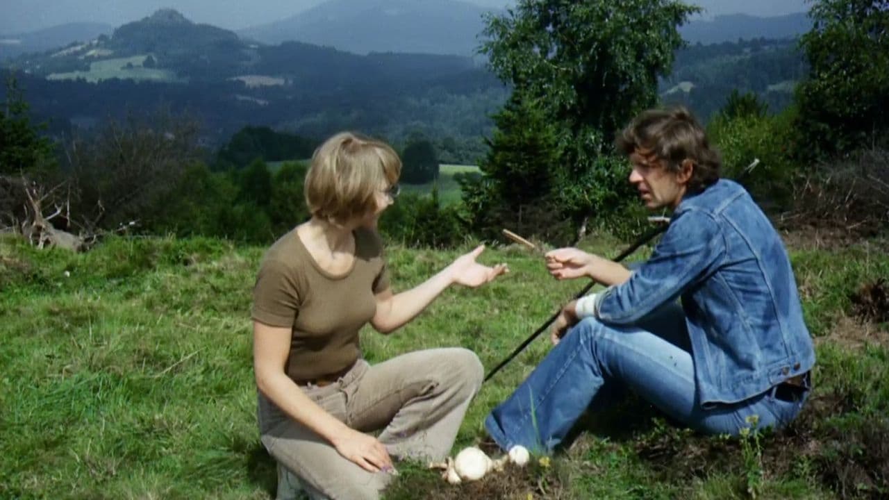 Tapeta filmu Léto s kovbojem / Léto s kovbojem (1976)
