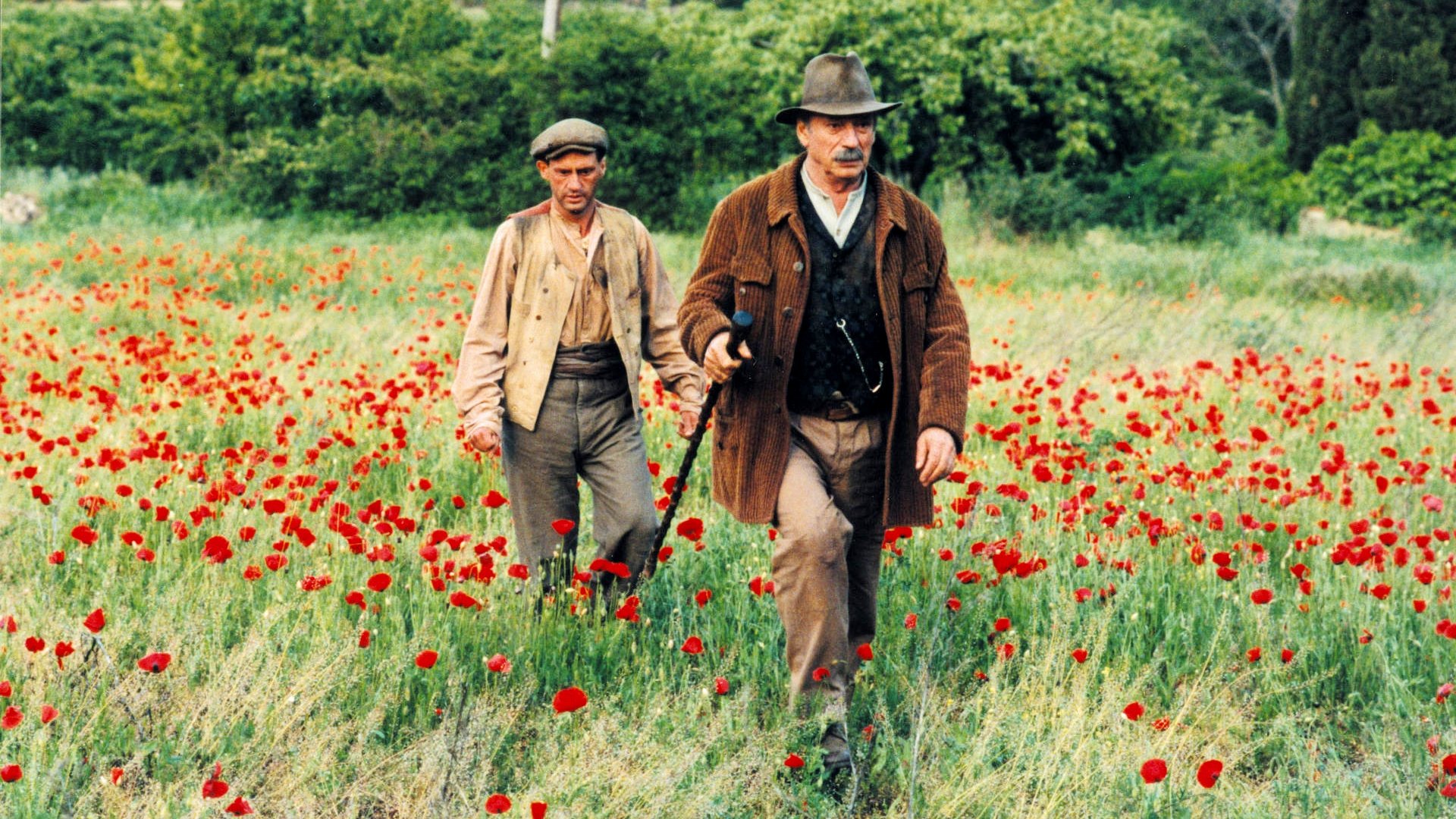 Tapeta filmu Jean od Floretty /  ()