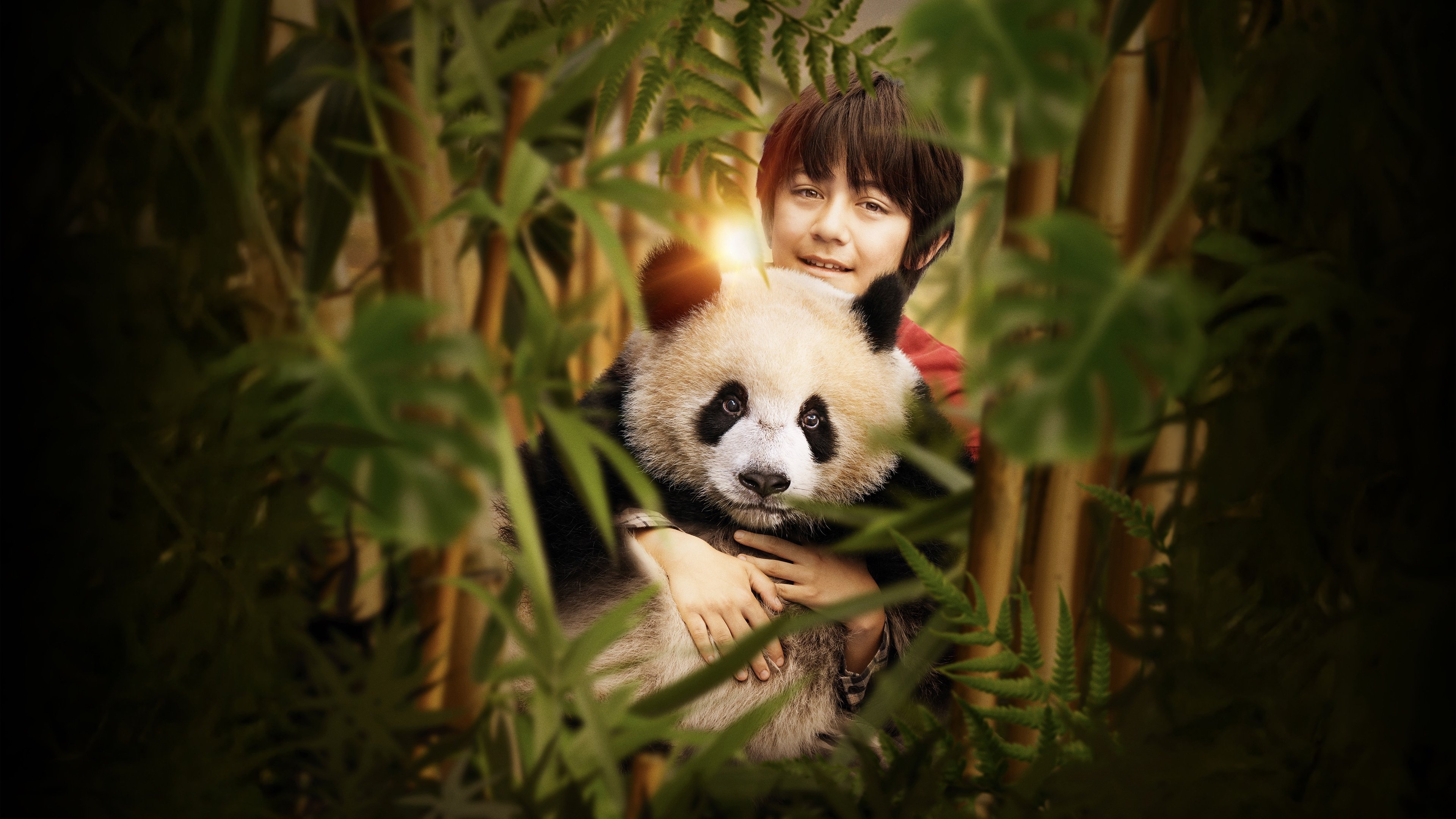 Tapeta filmu Panda a já / Moon le panda (2025)