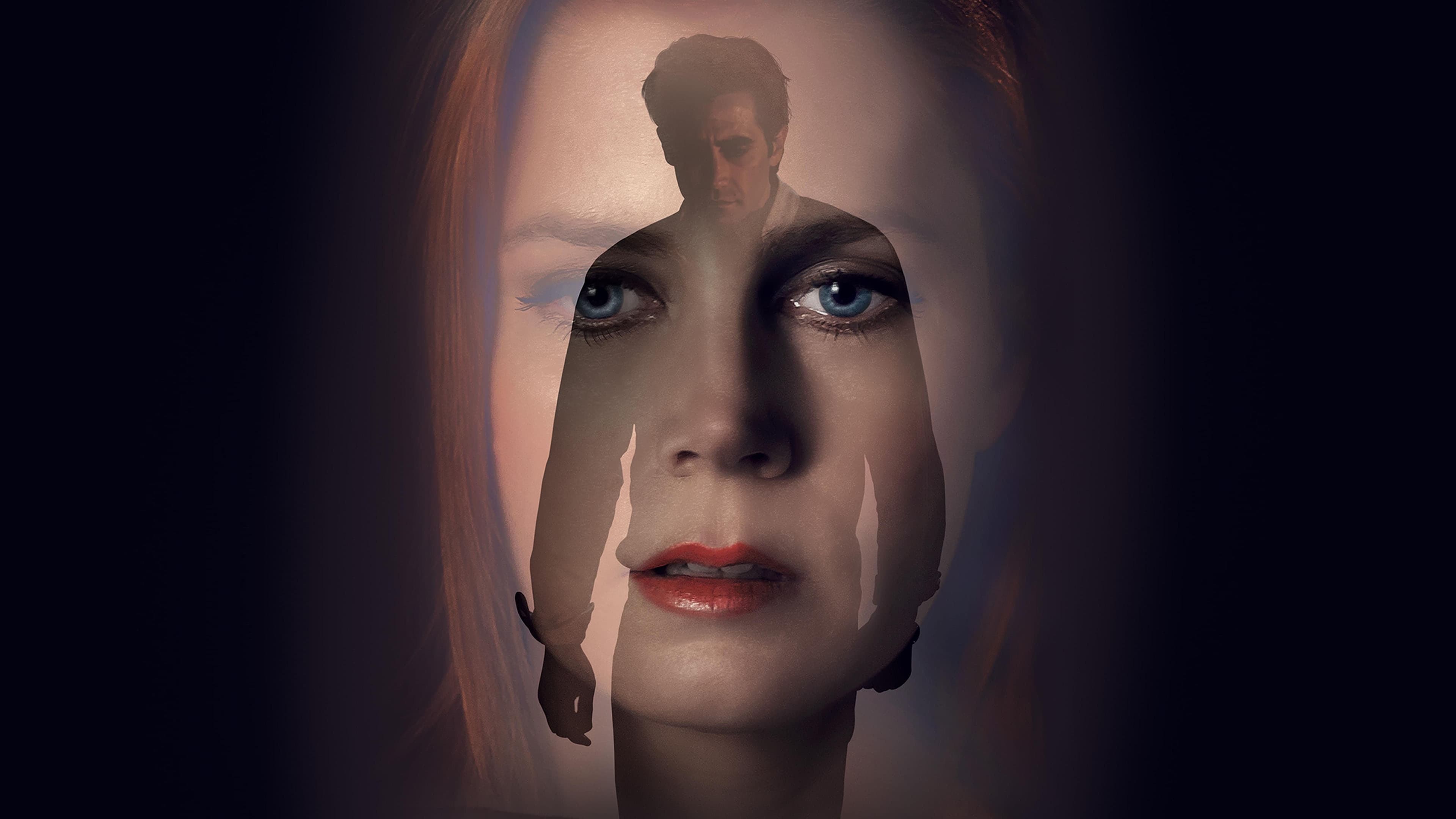 Tapeta filmu Noční zvířata / Nocturnal Animals (2016)