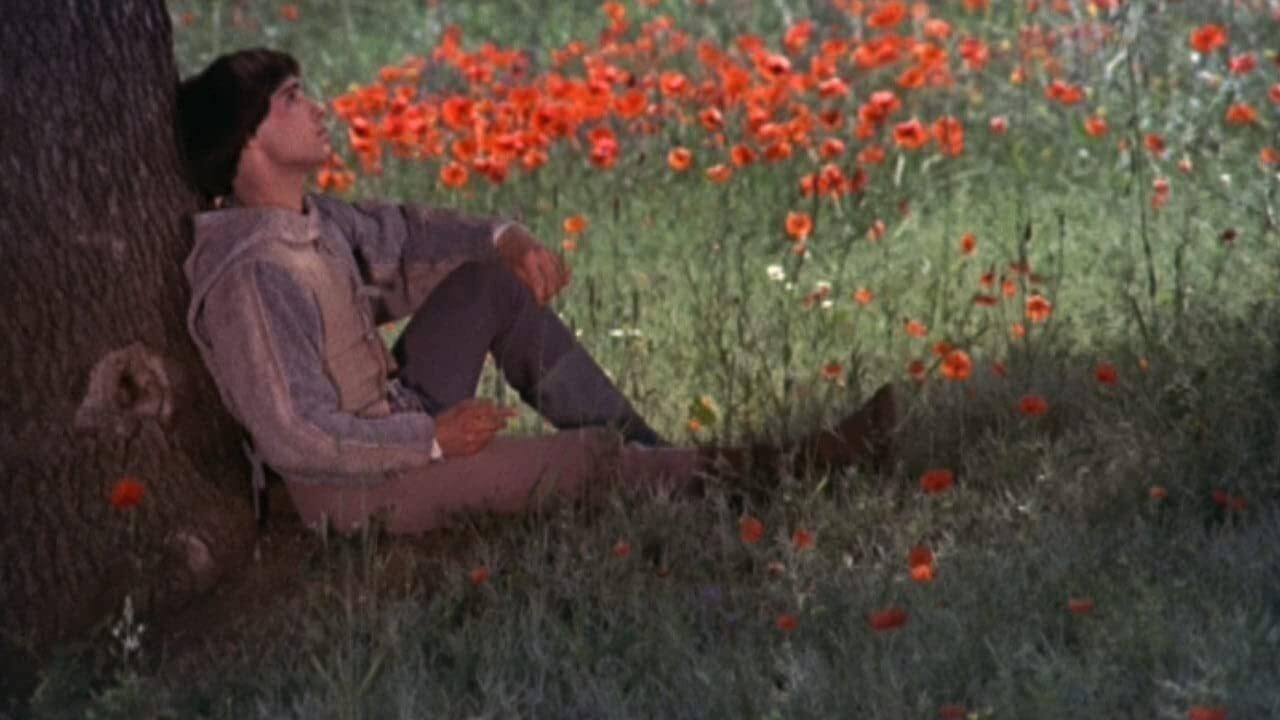 Tapeta filmu Bratr Slunce, sestra Luna / Brother Sun, Sister Moon (1972)