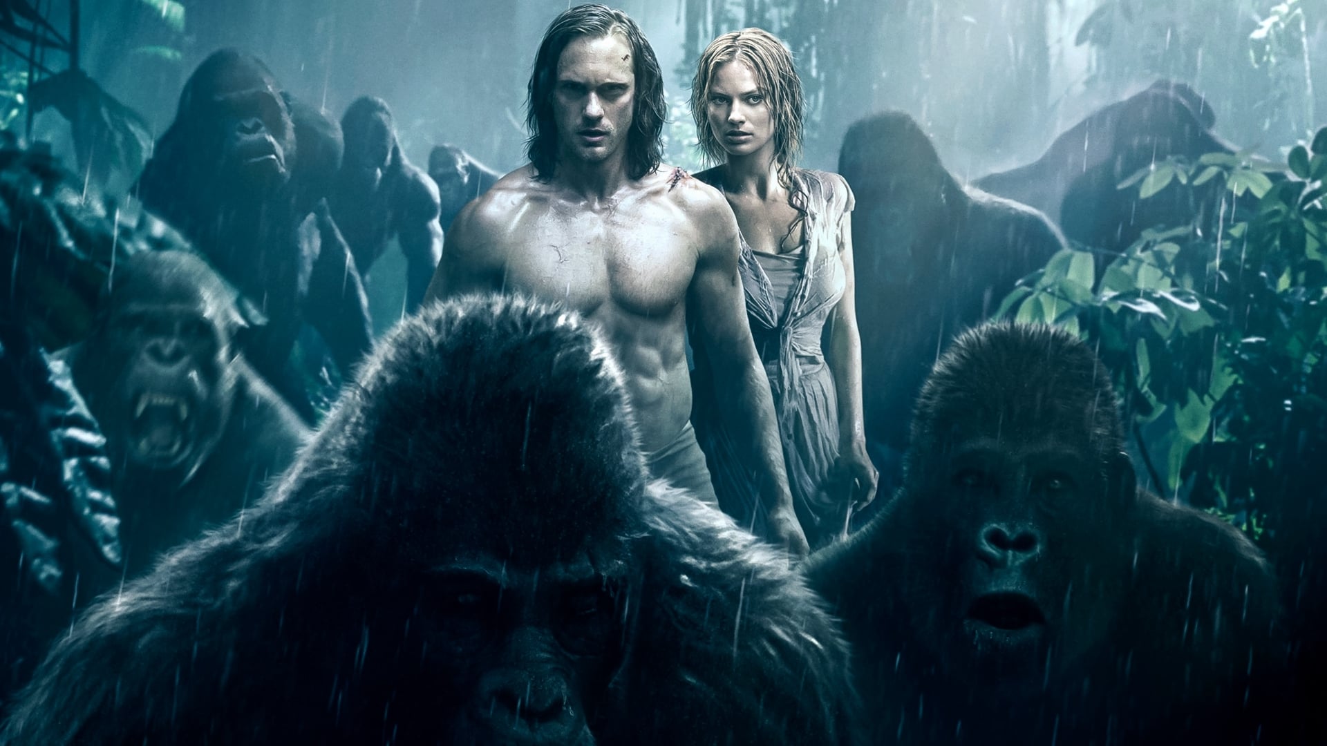 Tapeta filmu Legenda o Tarzanovi / The Legend of Tarzan (2016)