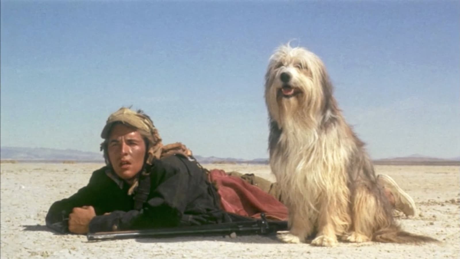 Tapeta filmu Chlapec a jeho pes / A Boy and His Dog (1975)