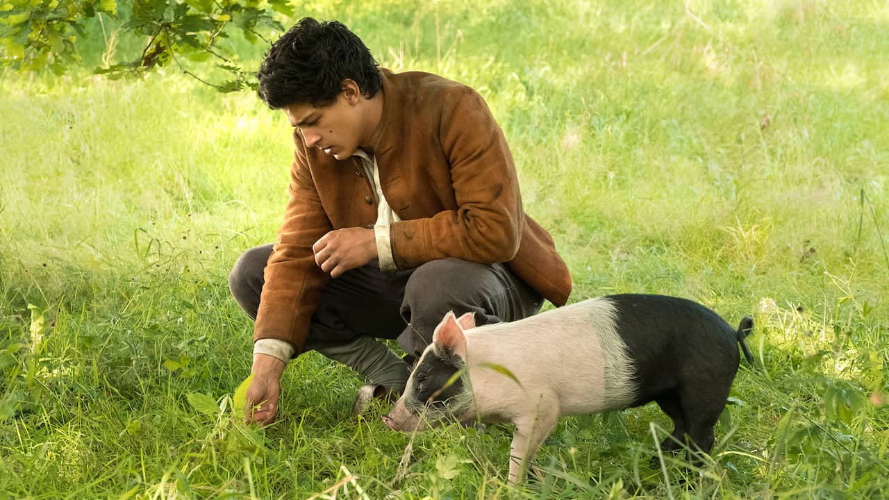 Tapeta filmu Pasáček vepřů / Der Schweinehirt (2017)