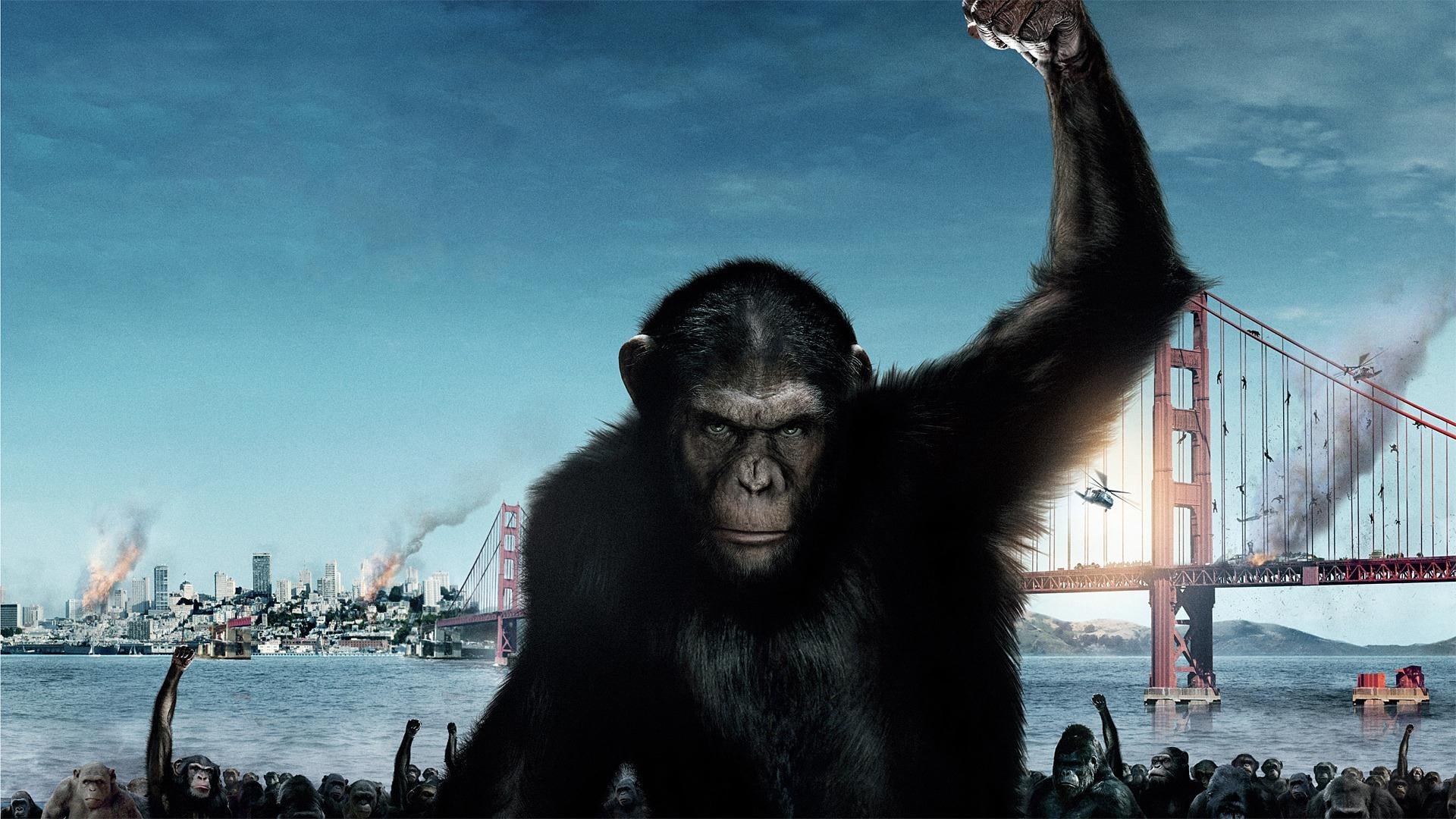 Tapeta filmu Zrození Planety opic / Rise of the Planet of the Apes (2011)