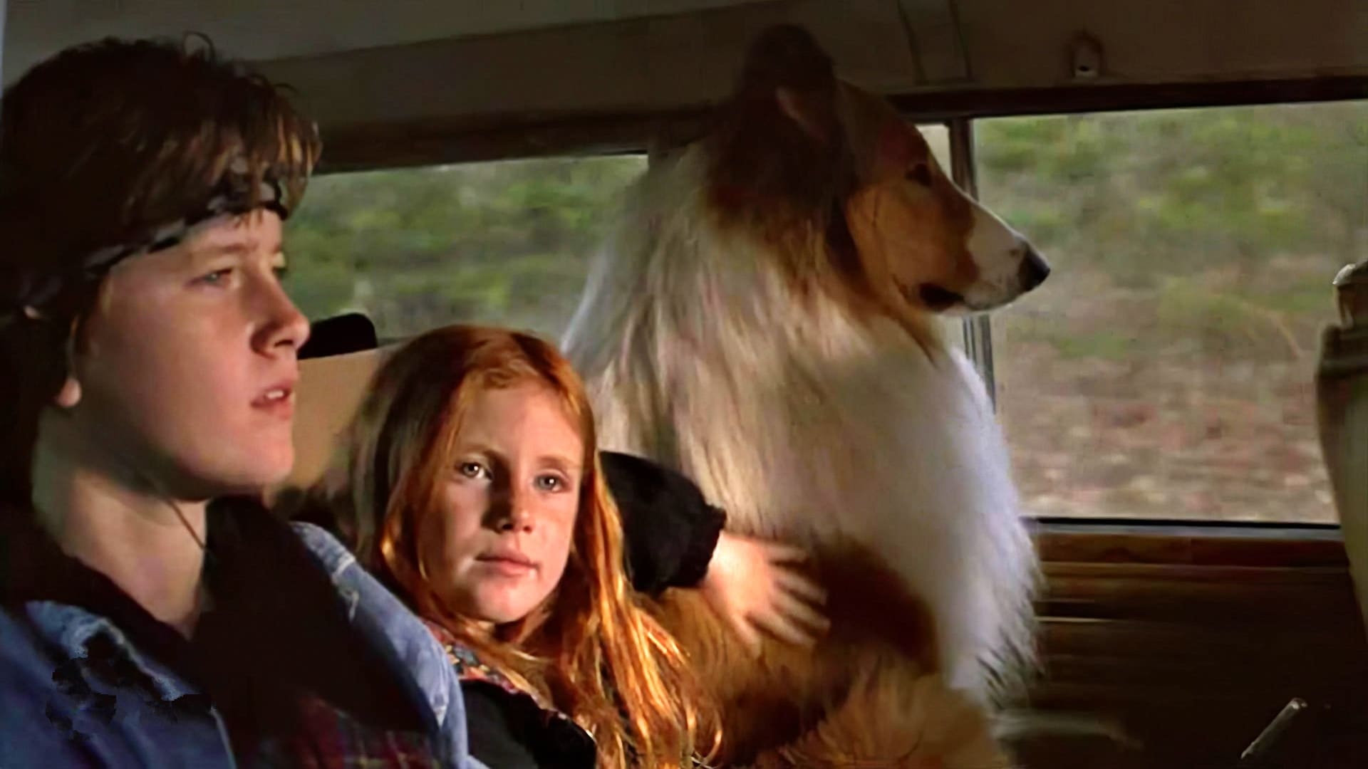 Tapeta filmu Lassie / Lassie (1994)