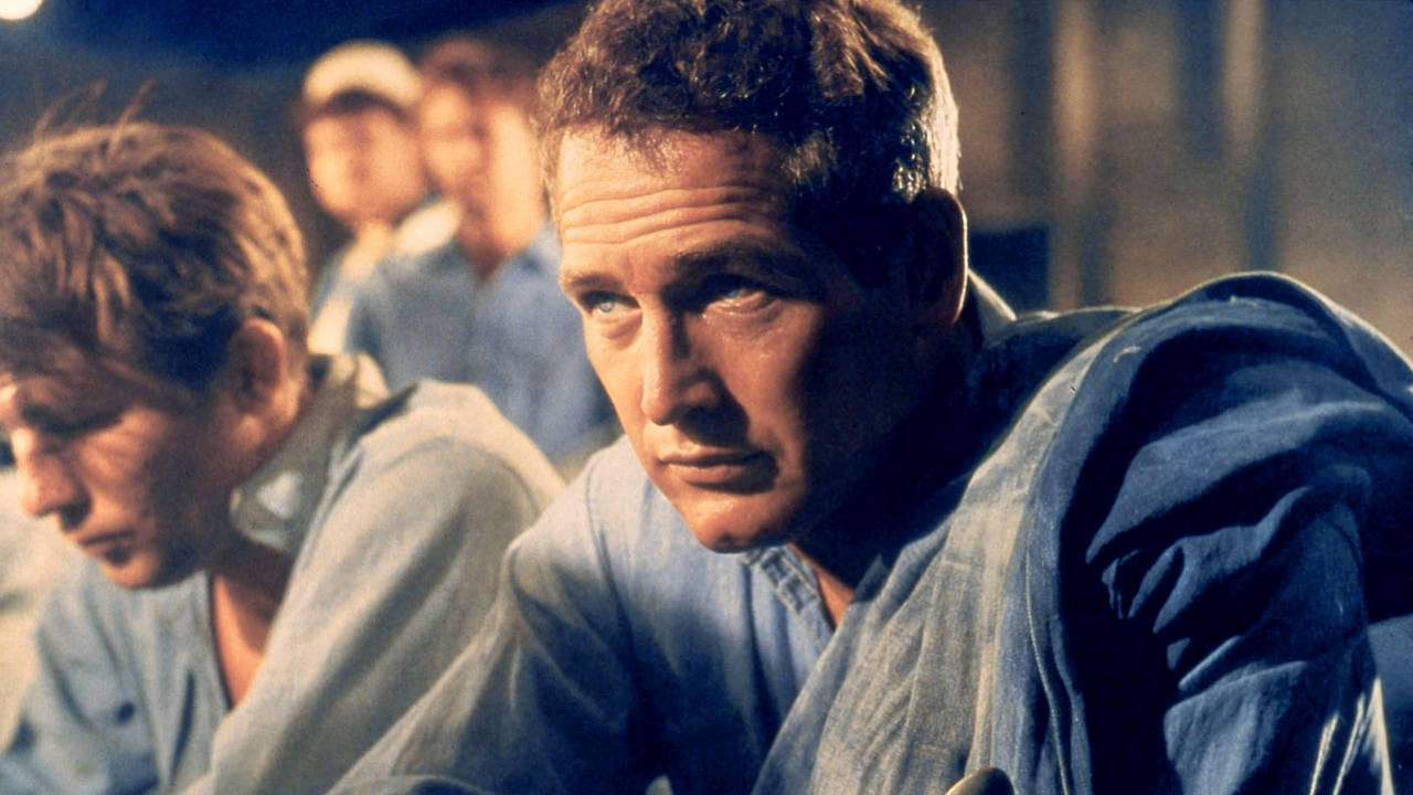 Tapeta filmu Paul Newman – neklidný /  ()