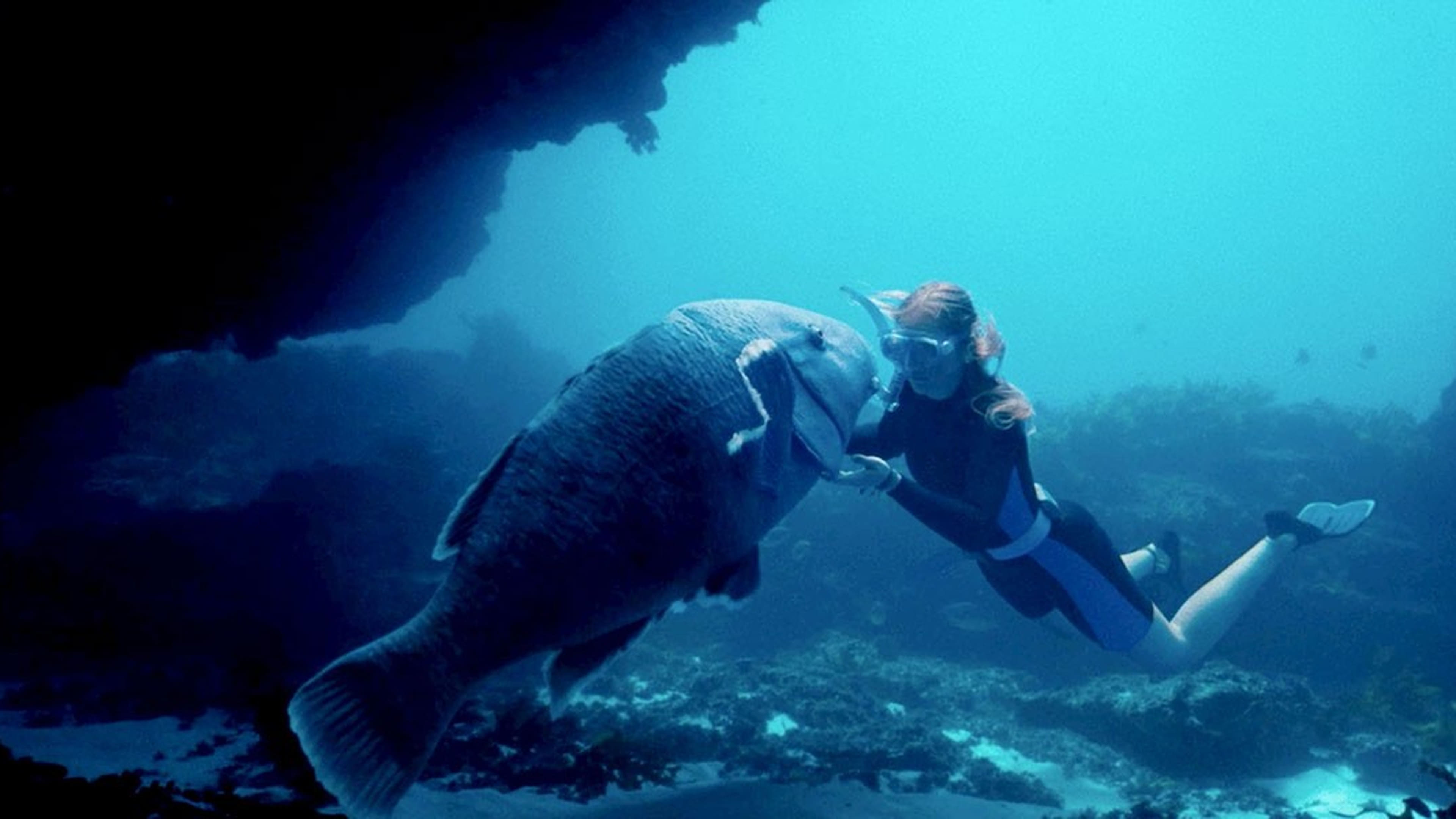 Tapeta filmu Modrous / Blueback (2022)