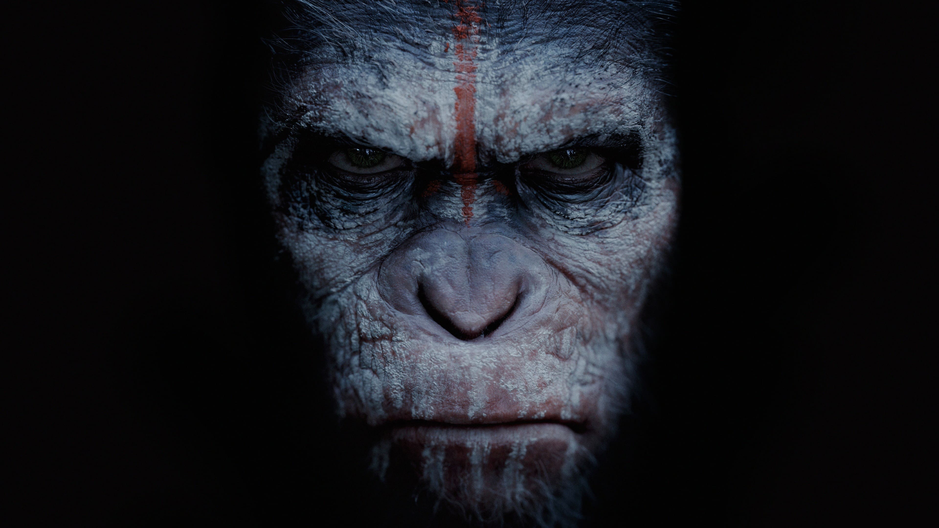 Tapeta filmu Úsvit planety opic / Dawn of the Planet of the Apes (2014)