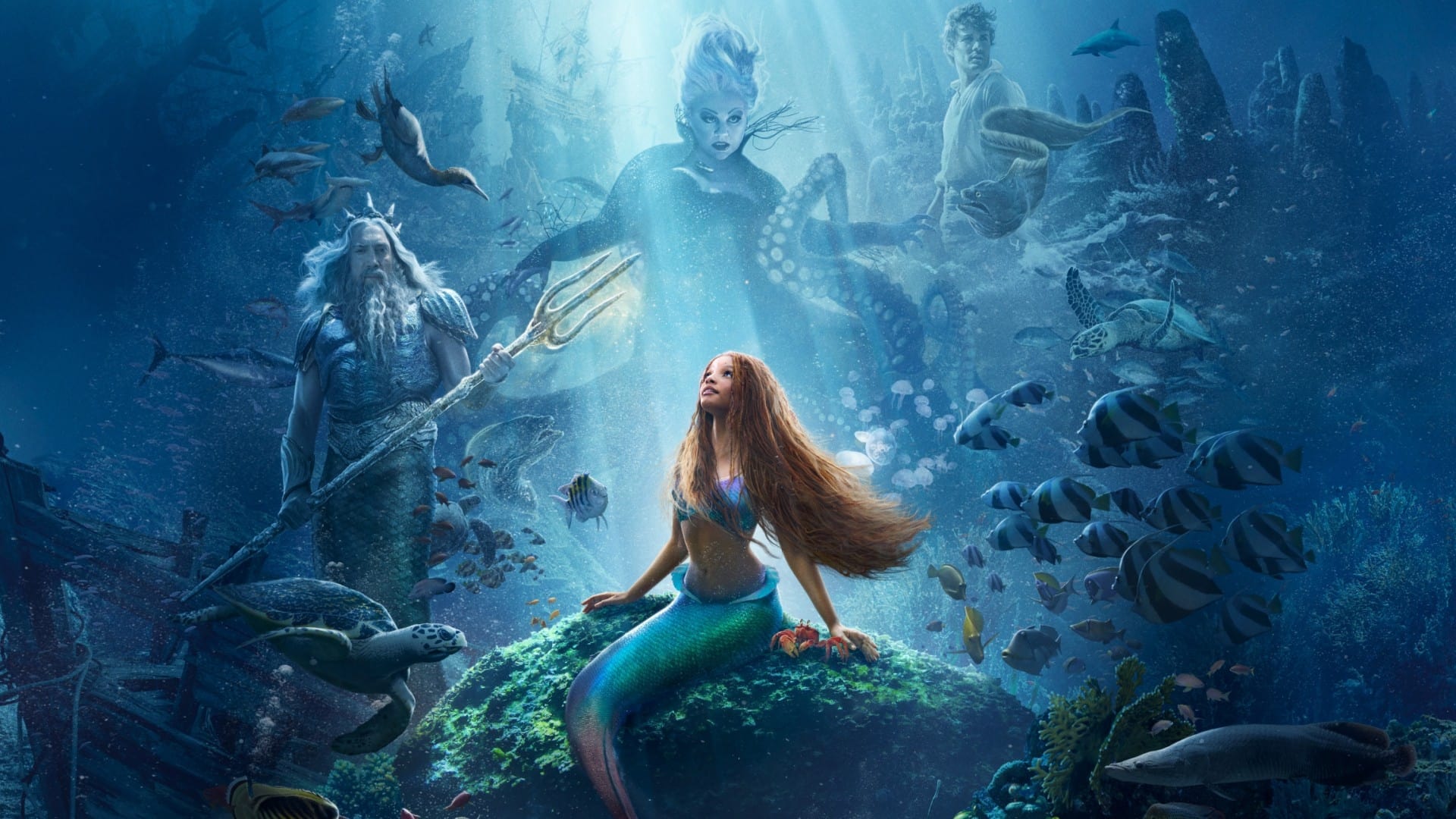 Tapeta filmu Malá mořská víla / The Little Mermaid (2023)
