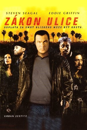 Plakát pro film “Zákon ulice”