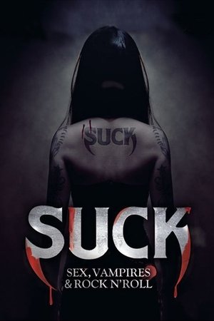 Plakát pro film “Vysaj si”