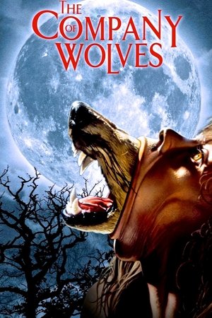 Plakát pro film “Společenství vlků”