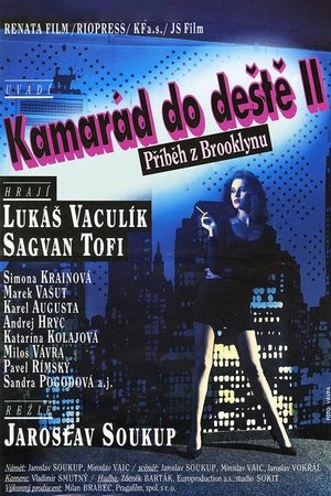 Plakát pro film “Kamarád do deště II – Příběh z Brooklynu”