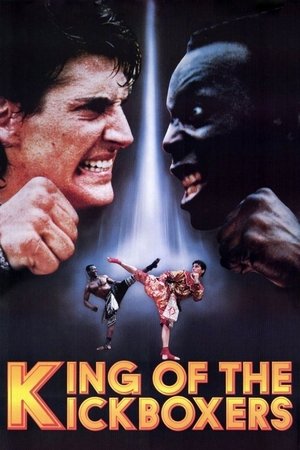 Plakát pro film “Karate tiger 4: Král kickboxerů”