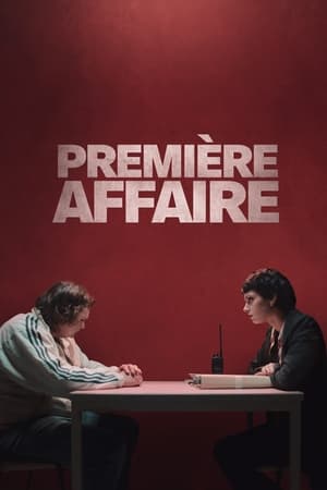 Plakát pro film “První případ”