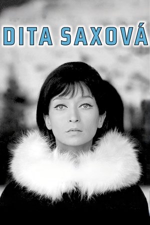 plakát Film Dita Saxová