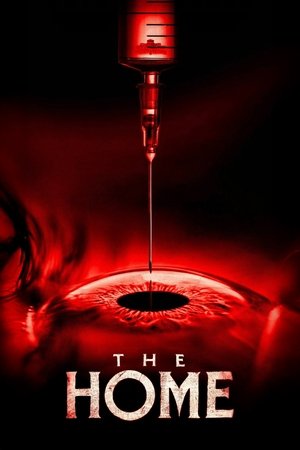 Plakát pro film “The Home”
