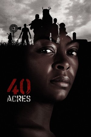 Plakát pro film “40 Acres”
