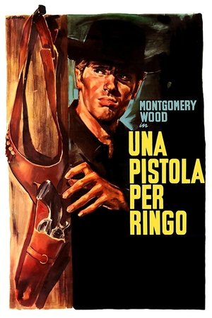 Plakát pro film “Pistole pro Ringa”