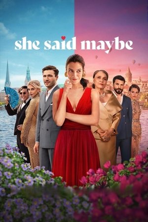 Plakát pro film “Řekla možná”