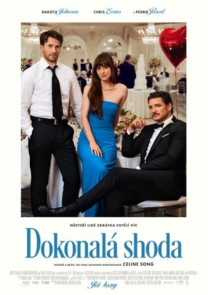 Plakát pro film “Dokonalá shoda”