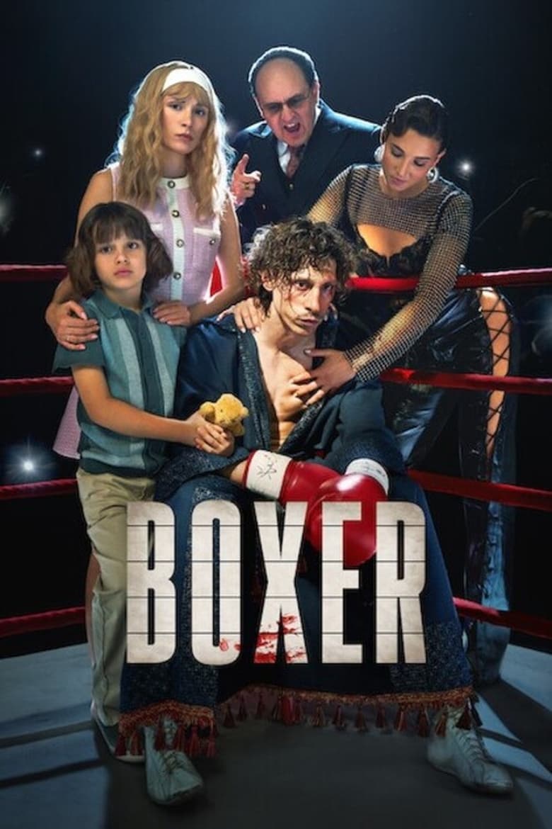 Plakát pro film “Boxer”