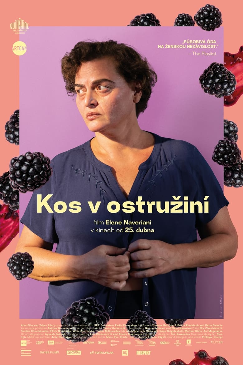 Plakát pro film “Kos v ostružiní”