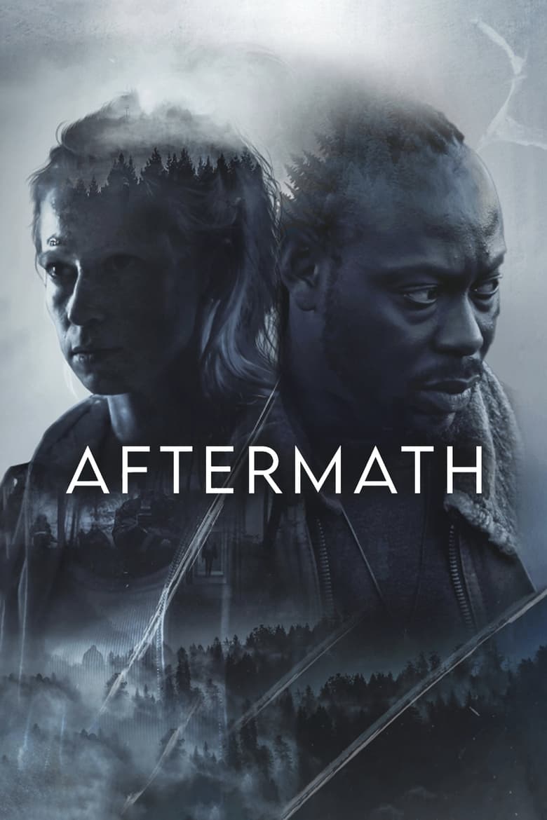 Plakát pro film “Aftermath”