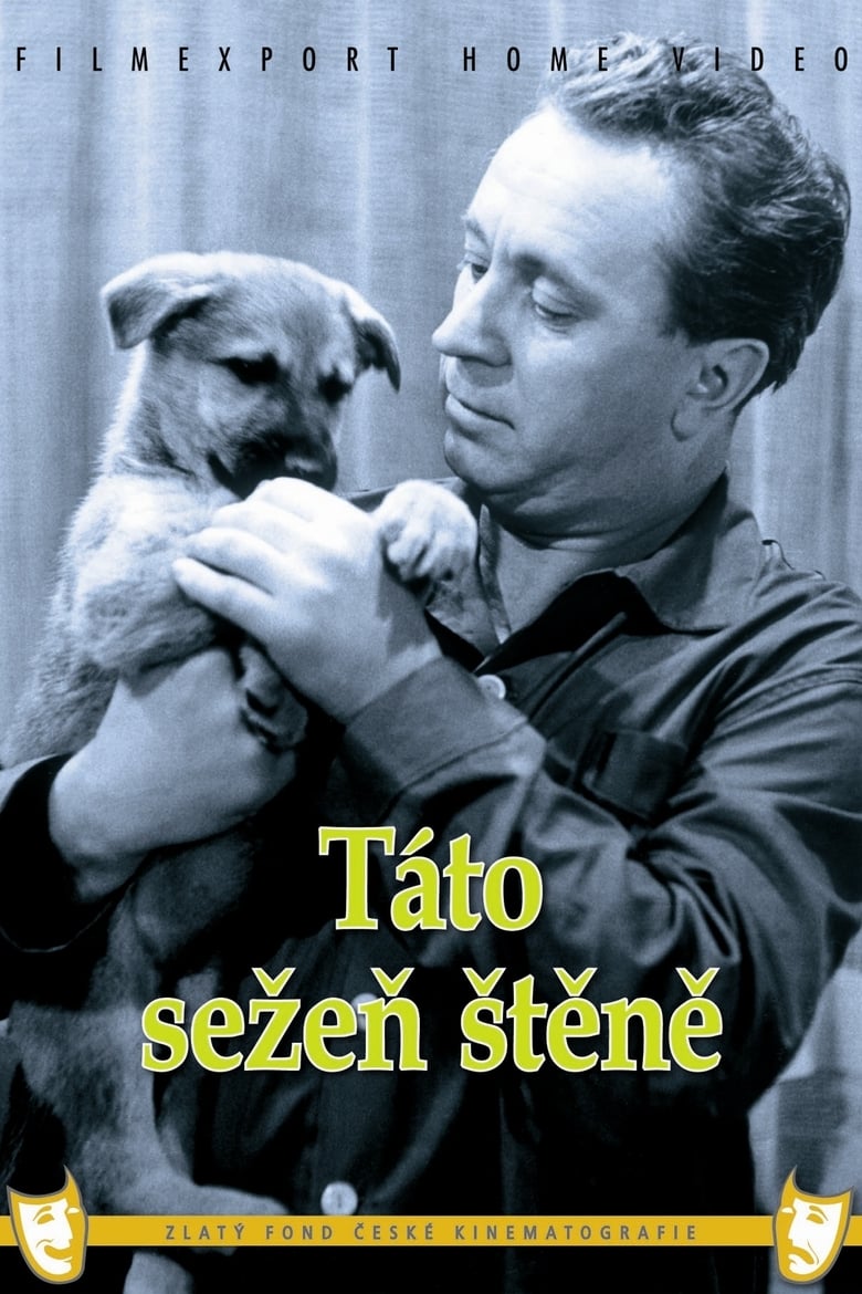 Plakát pro film “Táto, sežeň štěně!”