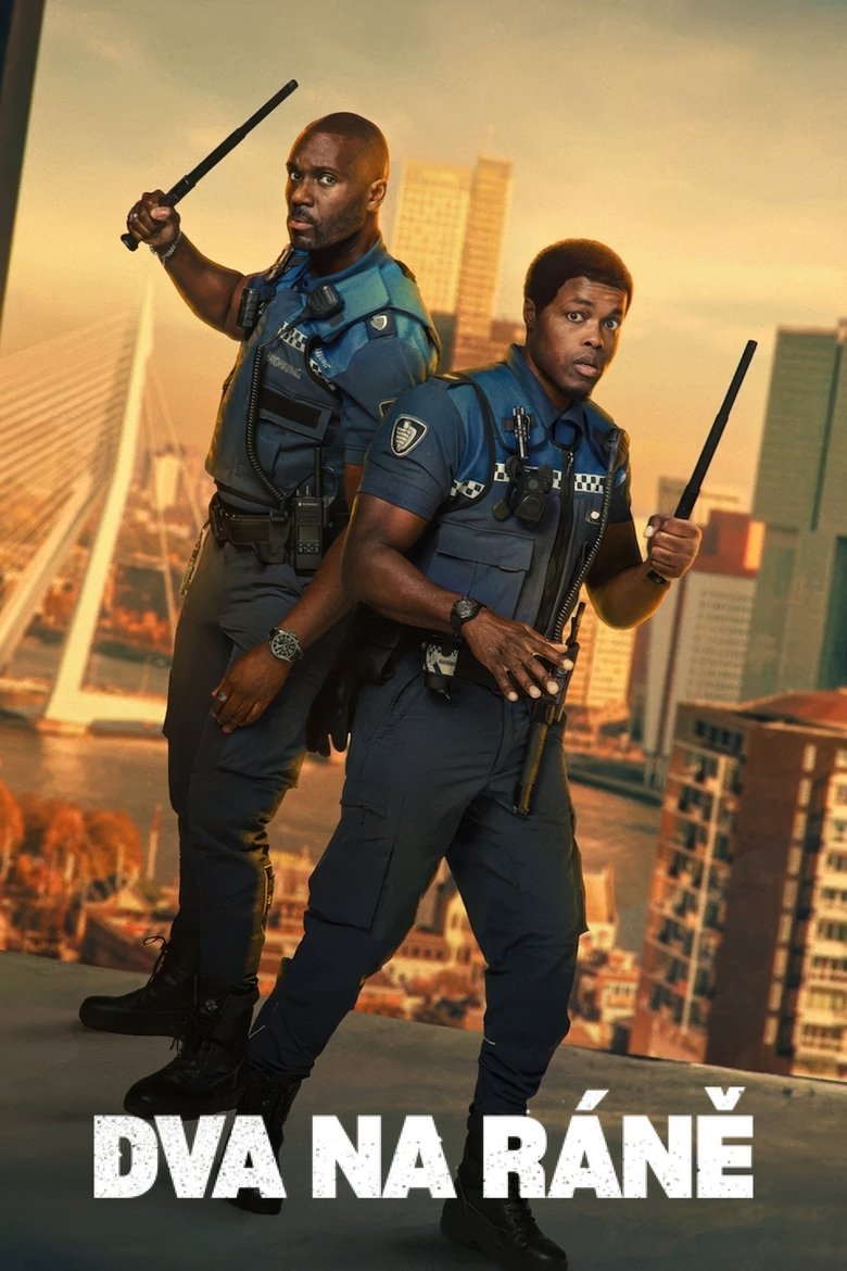 Plakát pro film “Dva na ráně”