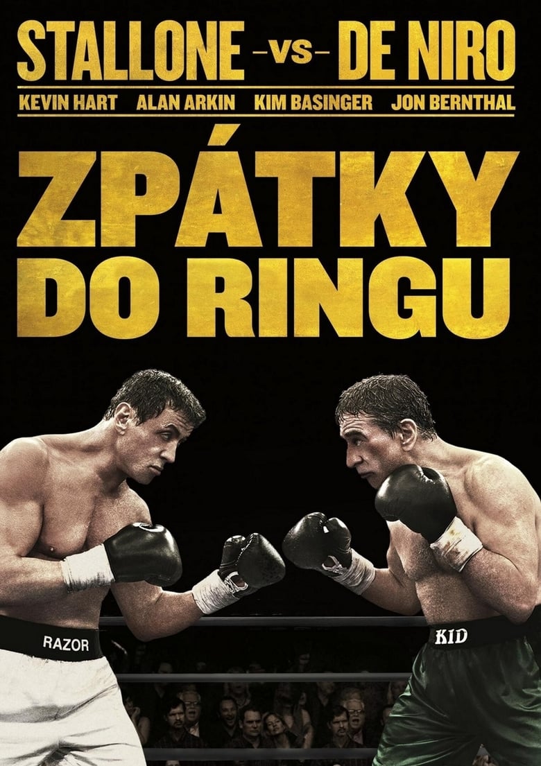 Plakát pro film “Zpátky do ringu”