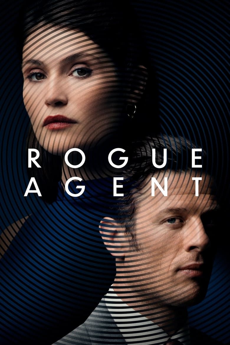 Plakát pro film “Falešný agent”