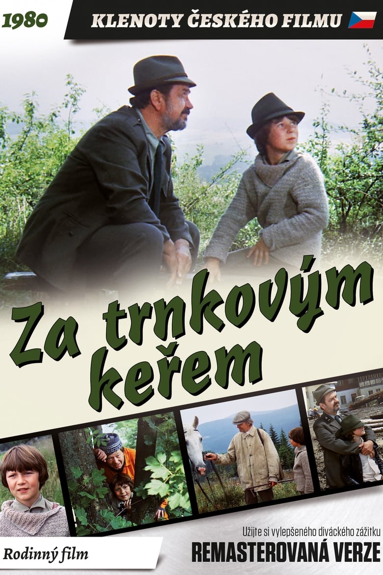 Plakát pro film “Za trnkovým keřem”