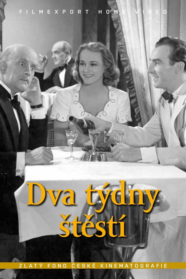 Plakát pro film “Dva týdny štěstí”