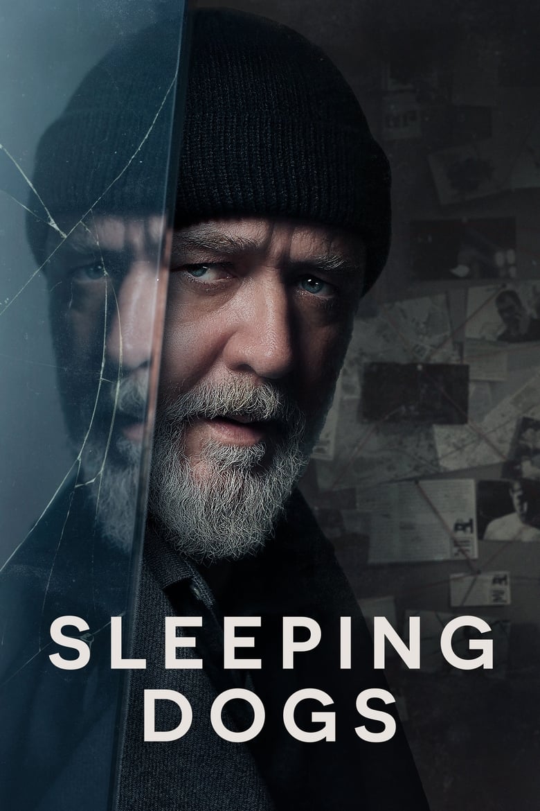 Plakát pro film “Sleeping Dogs”