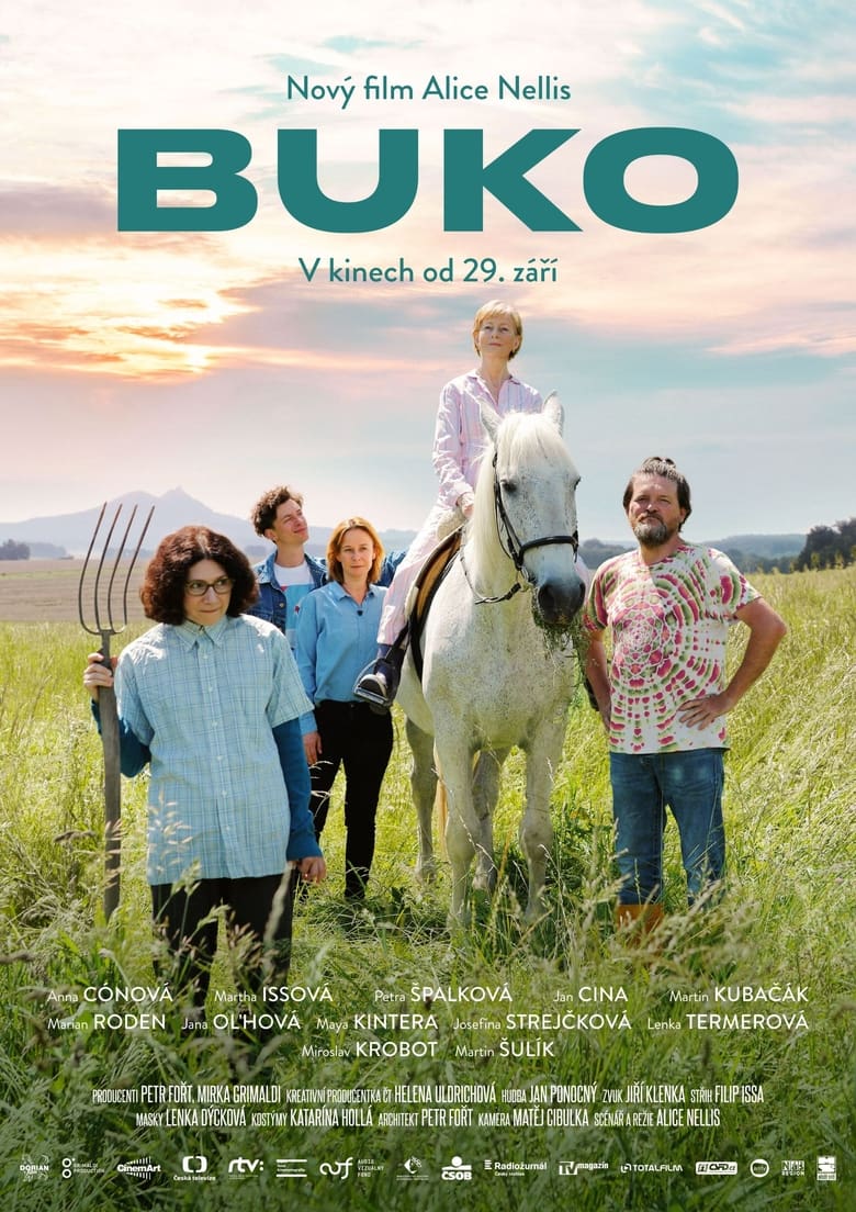 plakát Film Buko